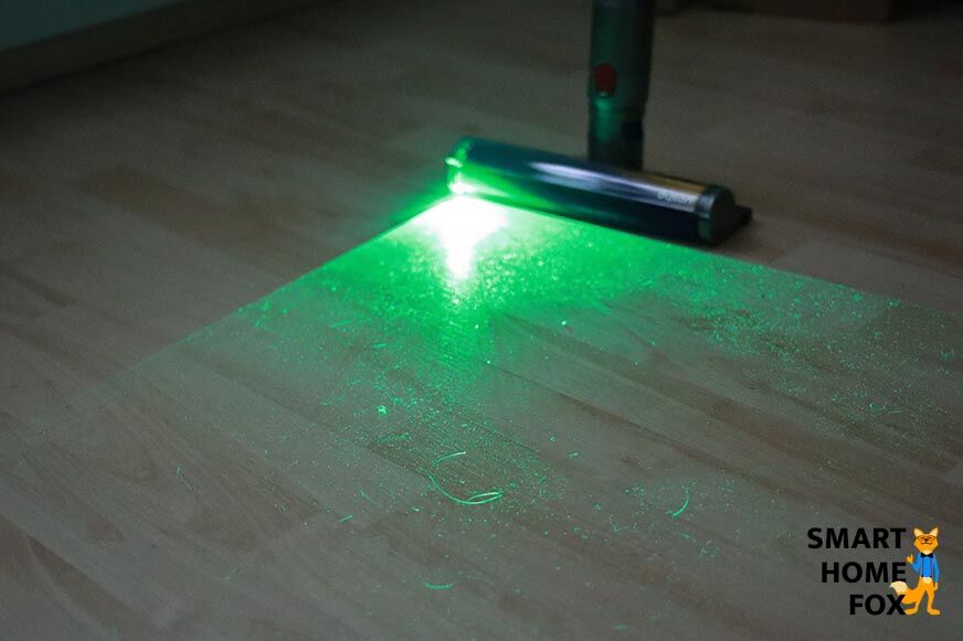 Vor dem Saugen im Hellen...